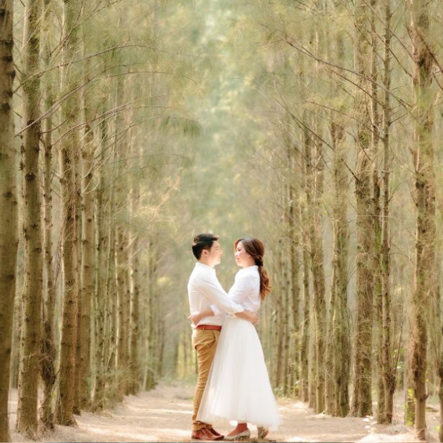 Casamento na Serra Gaúcha: Guia Completo para Escolher o Vestido Ideal em Gramado e Canela