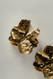Brinco Flor Orgânico Amassado Dourado
